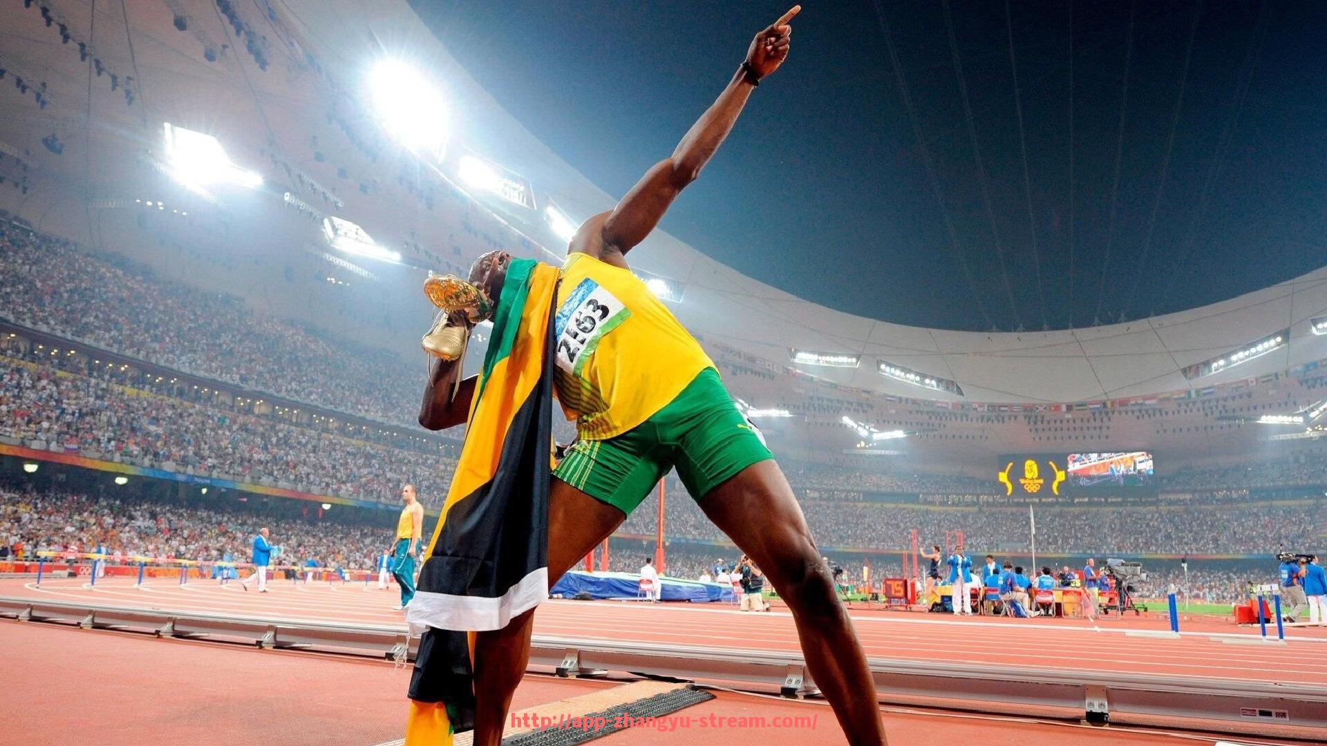 章鱼直播-世俱杯球迷观赛体验报告，实地观赛反馈与建议